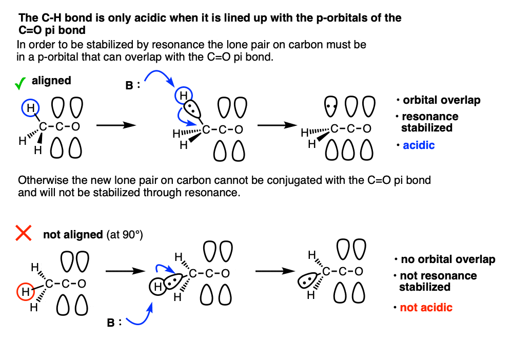 alpha proton is only acidic if the C-H bond is aligned with the pi system