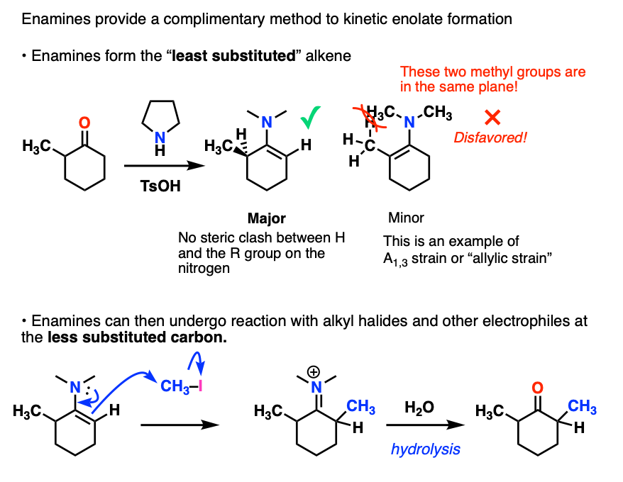 alkylation of enamines is a complimentary method to kinetic enolate alkylation