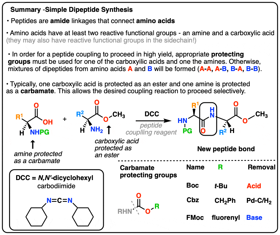 Amino Acids Containing Hydroxyl Groups Are at Ruben Best blog