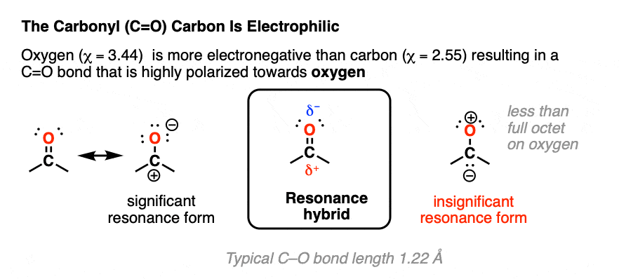 the carbonyl carbon is highly polarized toward oxygen