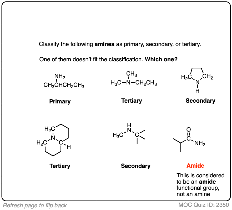 primary secondary tertiary amine