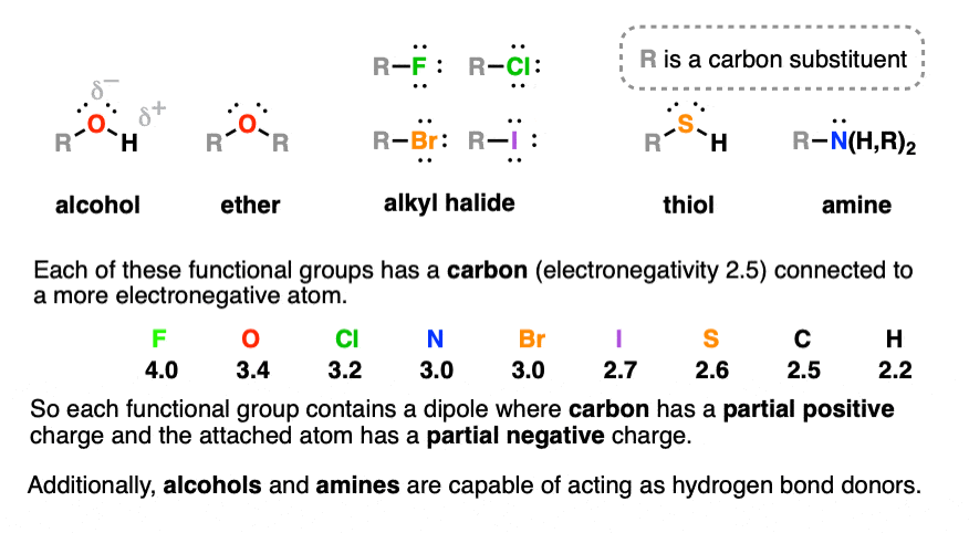 Functional groups resulting in alcohols ethers esters and carboxylic acids