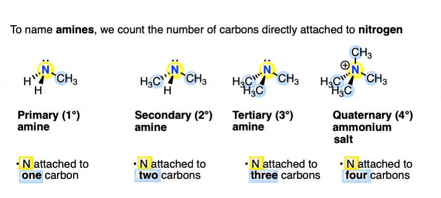 definition of primary secondary tertiary amines