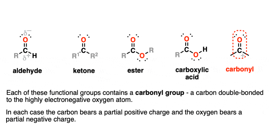 Drawing of aldehyde - ketone - ester - carboxylic acid functional groups