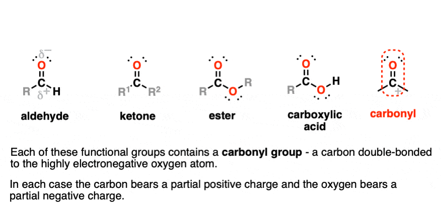 Functional Groups In Organic Chemistry, 44% OFF | wiener.me