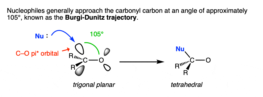 the Burgi-Dunitz angle or trajectory for addition of nucleophiles to carbonyl carbons