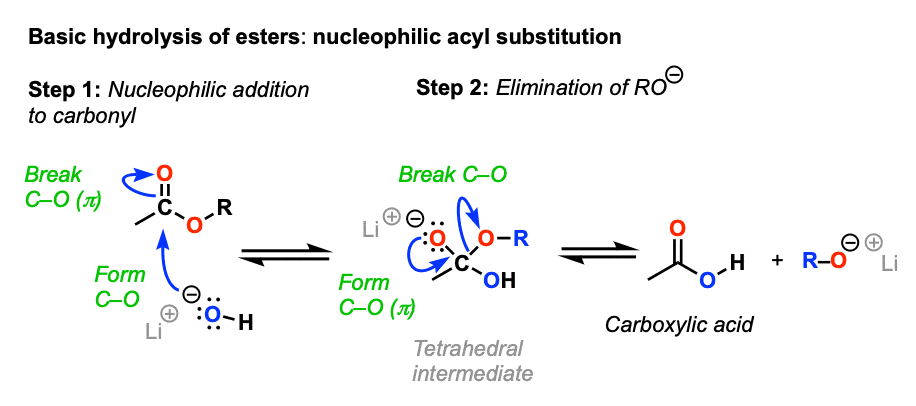 mechanism of basic hydrolysis of esters begins with addition of hydroxide to ester and elimination of alkoxide