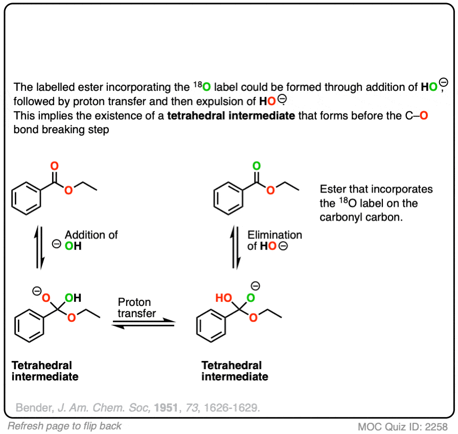 Nucleophilic Acyl Substitution With Negatively Charged Nucleophiles