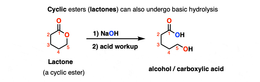 cyclic esters are called lactones and they can undergo basic hydrolysis