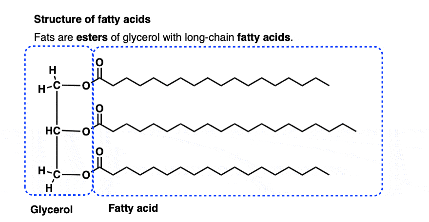 Basic Hydrolysis Of Esters Saponification 3695