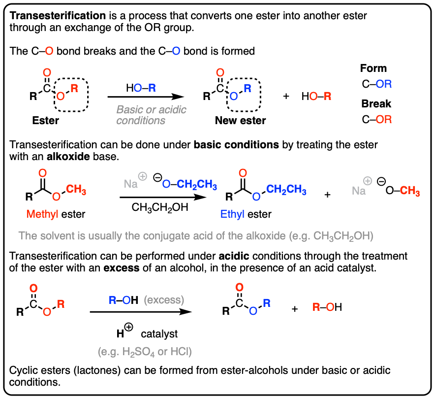 summary of transesterification under basic and acidic conditions - alkoxides