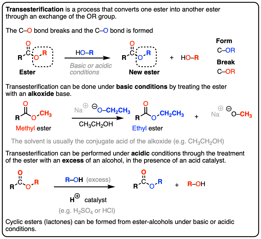 transesterification mechanism