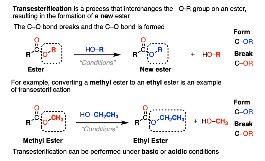 -general scheme for a tranesterification reaction could occur under acidic or basic conditions