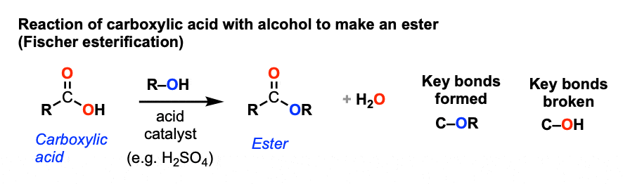 reaction of carboxylic acid with alcohol to make ester fischer esterification