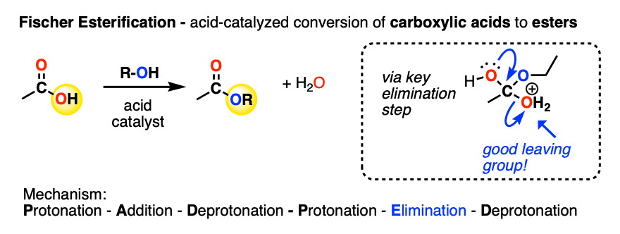 example of the fischer esterification of carboxylic acids to give esters - key step is elimination of a protonated leaving group