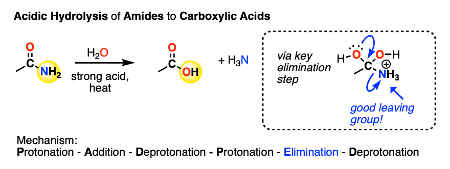 examples of acidic hydrolysis of amide to carboxylic acid - key step is loss of protonated leaving group
