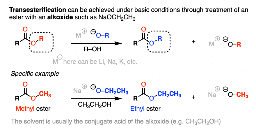 transesterification mechanism