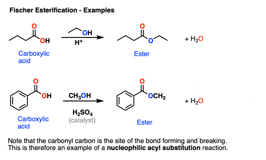-fischer esterification-two examples of ester formation