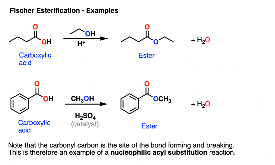 fischer esterification mechanism carboxylic acid