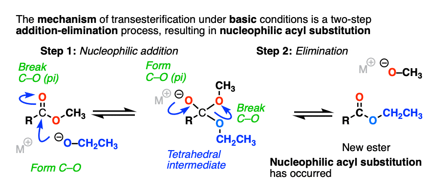 Mechanism of transesterification under basic conditions to give a new ester - ethyl ester from methyl ester