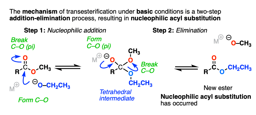 transesterification mechanism