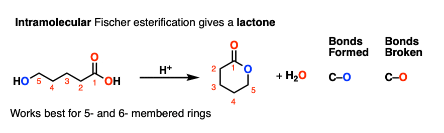 examples of intramolecular fischer esterification to form lactones cyclic esters
