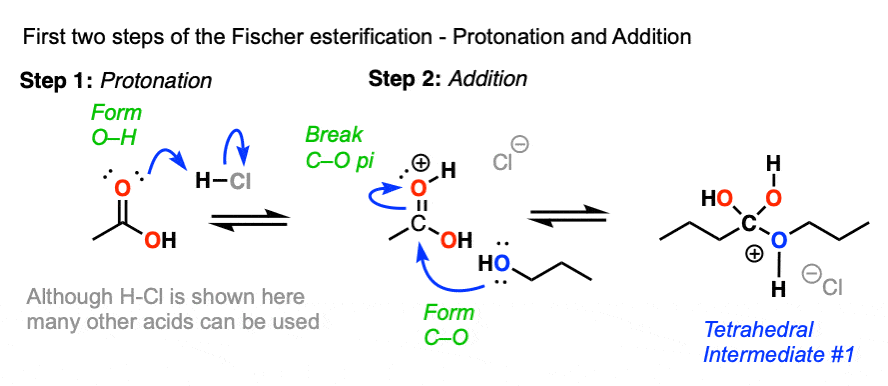 mechanism for fischer esterification full arrow pushing between carboxyilc acid and alcohol giving ester reversible equilibrium
