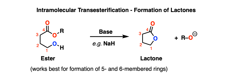 scheme for formation of lactones via transesterification under basic conditions