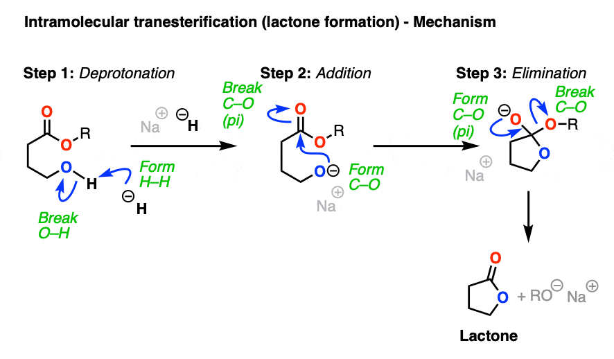 mechanism for intramolecular transesterification - lactone formation - under basic conditions using sodium hydride