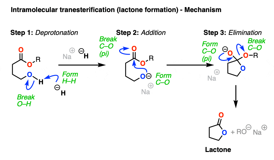 transesterification mechanism