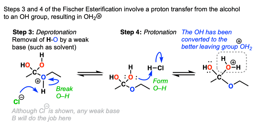 fischer esterification mechanism