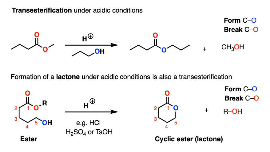 example of transesterification of esters under acidic conditions including lactone formation