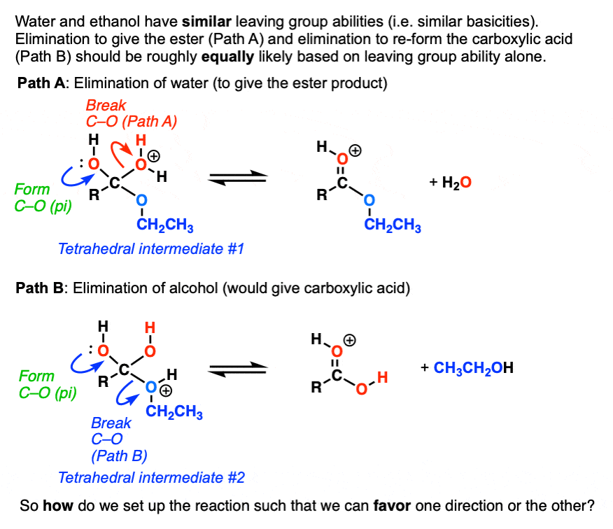 how to get the Fischer to favor one elimination reaction from the tetrahedral intermediate over the other - key question