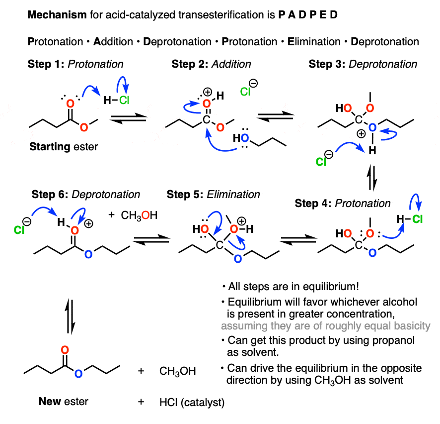mechanism of acid-catalyzed esterification reaction - padped mechanism - all steps in equilibrium