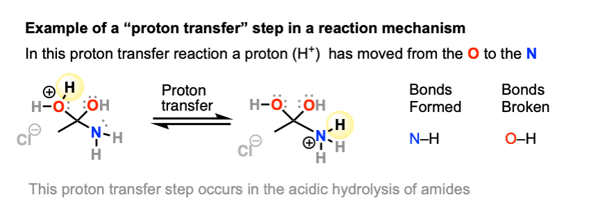 example of a proton transfer step in a reaction mechanism for acidic hydrolysis of amides