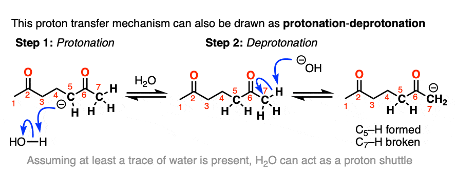 mechanism for proton transfer in the robinsosn annulation