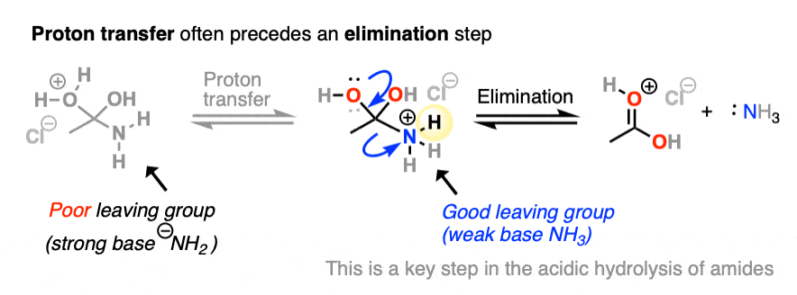 proton transfer often precedes elimination steps in nucleophilic acyl substitution under acidic conditions