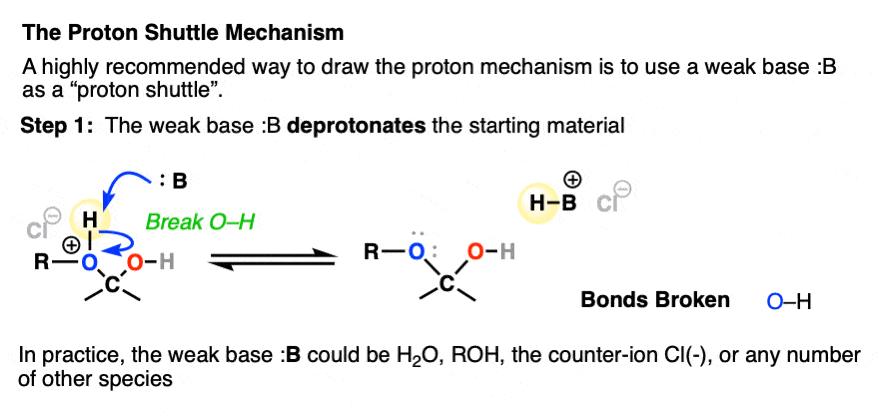 proton shuttle mechanaism using a weak lewis base such as water or alcohol serves to catalyze proton transfer step 1