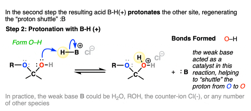 protonation of neutral molecule