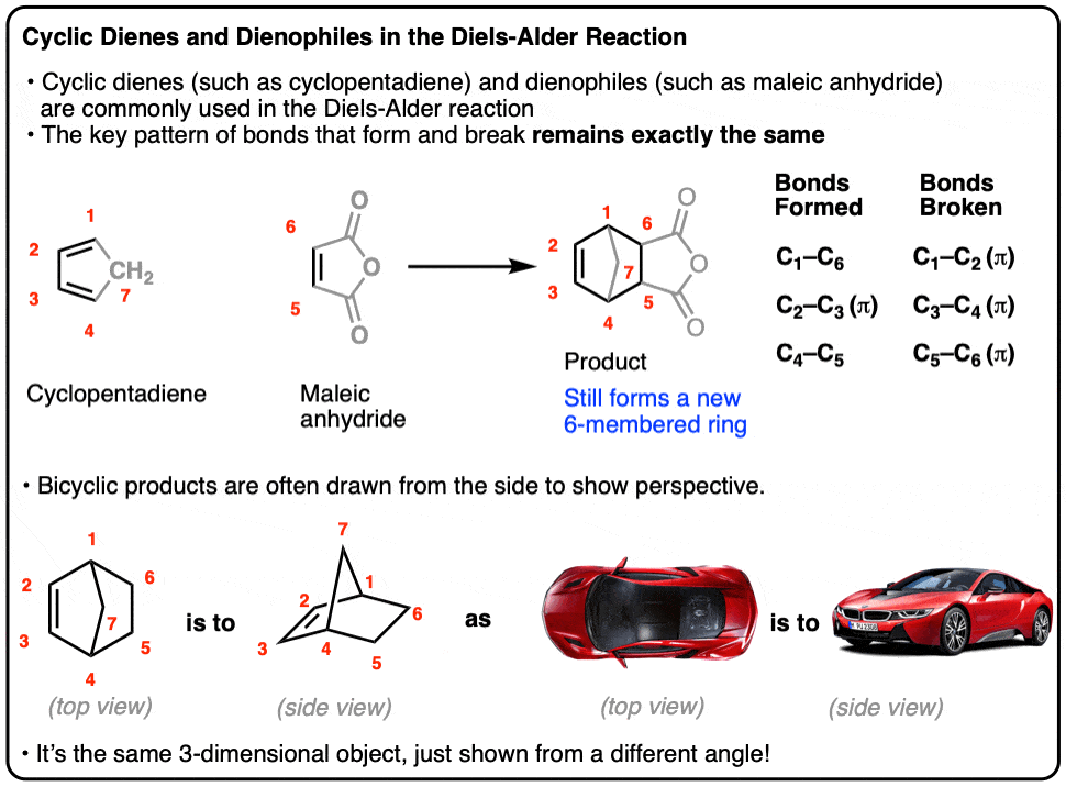 cyclic alkyne molecule