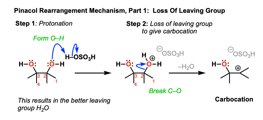 first step of pinacol rearrangement is protonation of OH and loss of leaving group to give carbocation