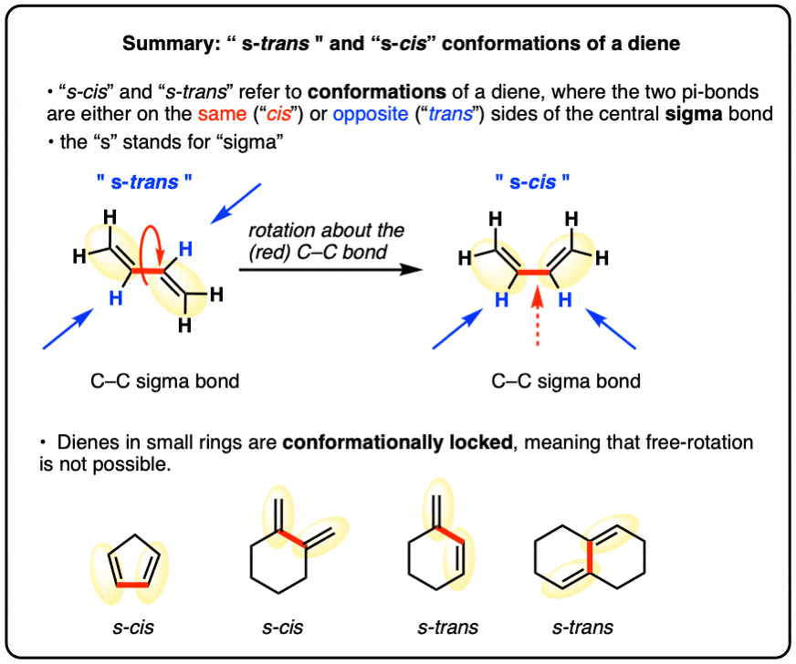 summary-s cis and s trans conformations of a diene