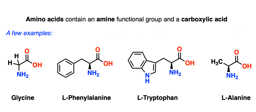 Drawing of amino acids in their neutral form with carboxylic acid and amines