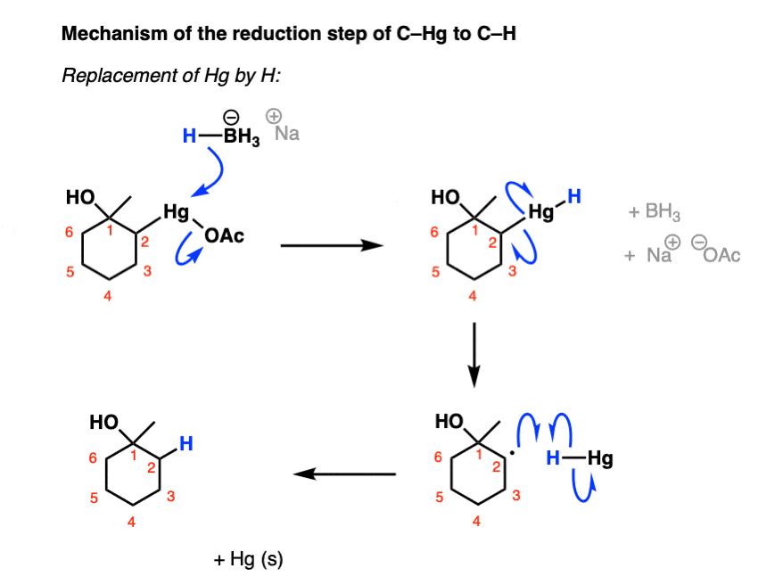 Nabh4 Mechanism