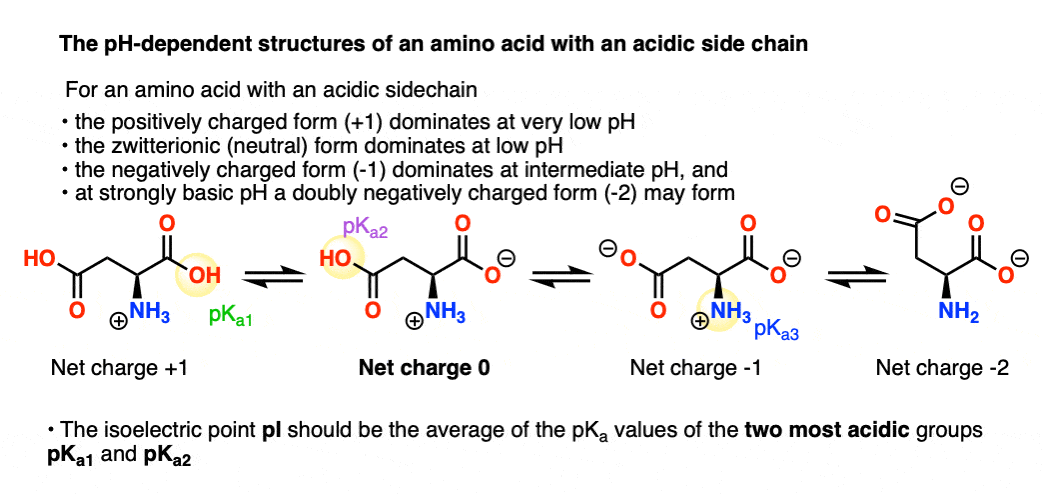 the four possible structures for an amino acid with acidic sidechain - pI will be average of two most acidic pKa values