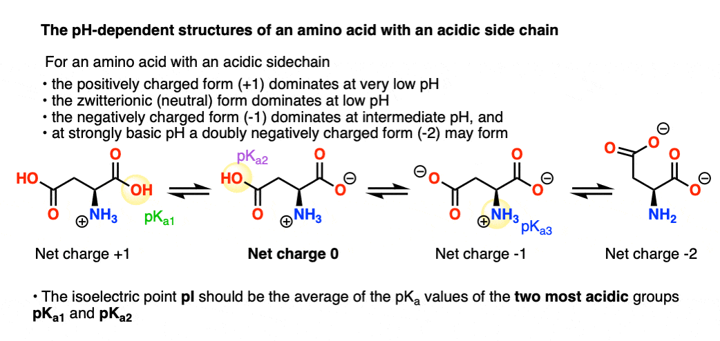 Isoelectric Points Of Amino Acids and How To Calculate 48 OFF