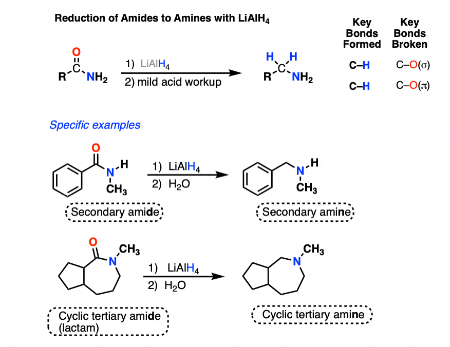 lialh4 lithium aluminum hydride will reduce amides to amines