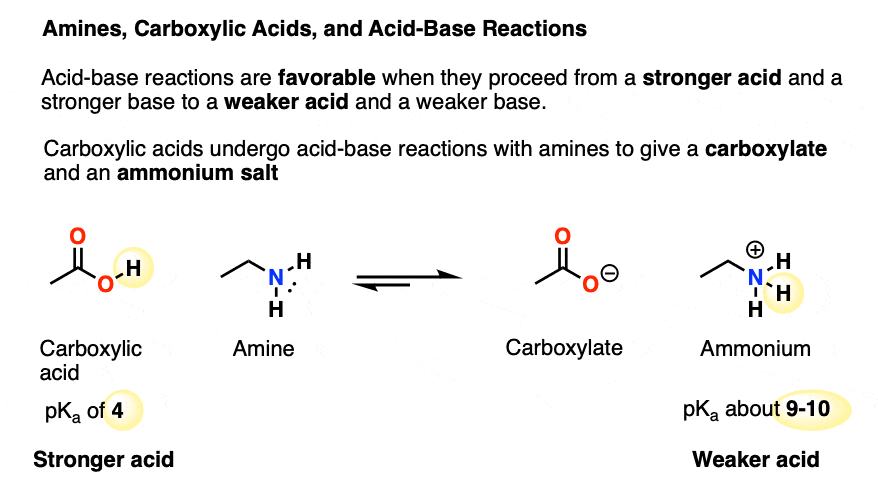 Favorable acid base reactions proceed between carboxylic acid and amine to give carboxylate and ammonium