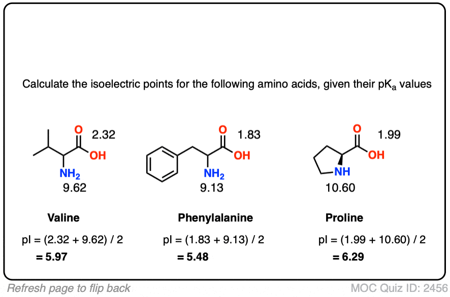 Isoelectric Points Of Amino Acids and How To Calculate 48 OFF