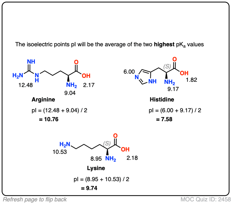 20+ Isoelectric Point Calculation - AllyLuciano